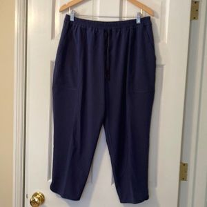Lulu lemon pants.  Electric waist,  front pockets,  like new.